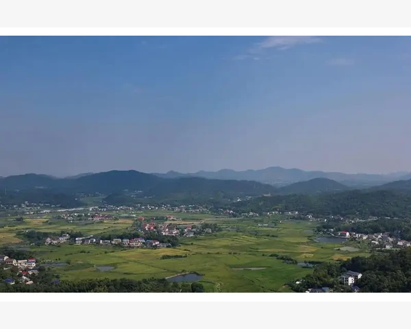 吃生花生能否有效化痰？揭秘中医科普饮食秘籍